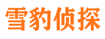 合水市私人侦探